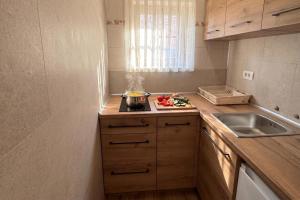 a small kitchen with a stove and a sink at Pivka Na Meji Resort in Pivka