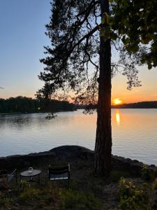 a sunset over a lake with a table and a tree at Badklippan in Stockholm