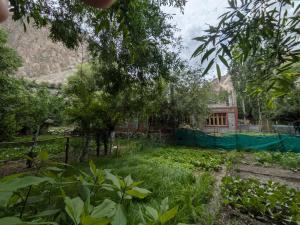 a house in the middle of a garden at Turtuk Stream Side Home Stay in Turtuk