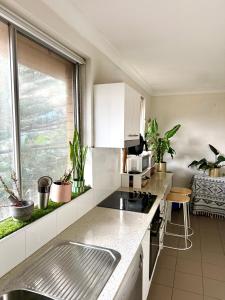 a kitchen with a sink and a counter with plants at Cozy Bondi ROOM - Beach life and Local Host! Free Parking in Sydney