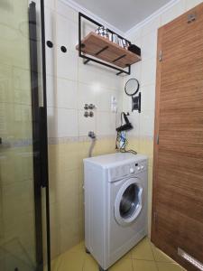 a washing machine in a bathroom next to a door at Apartment Jurček with jacuzzi & sauna in Luče