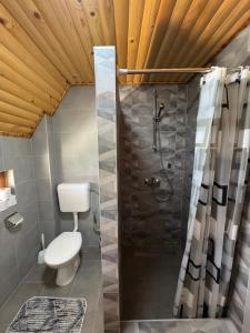 a bathroom with a toilet and a shower at Vlasic Odmor - Villa Krajina V in Vlasic +40 photos