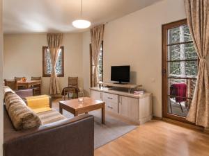a living room with a couch and a tv at Effect Malina Residence Hotel in Pamporovo