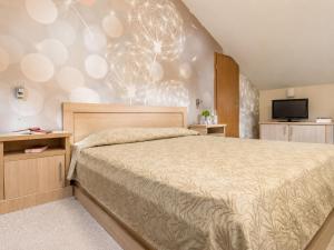a bedroom with a bed and a flat screen tv at Effect Malina Residence Hotel in Pamporovo