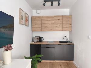 a kitchen with a sink and a counter top at Słoneczne studio in Głuszyca