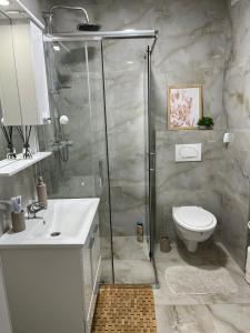 a bathroom with a shower and a toilet and a sink at Apartman M&M in Teslić