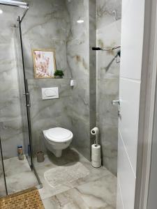 a bathroom with a toilet and a glass shower at Apartman M&M in Teslić