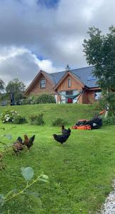 a group of chickens walking in the grass in front of a house at Laimhrig Lockley in Torrin