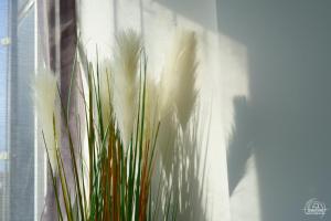 a vase with some plants in a window at Le Cocon Love Room & Spa in Nancy