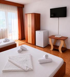 a hotel room with two beds and a television at Vila Flavia in Costinesti