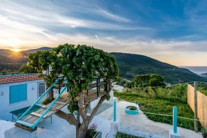 a staircase leading to a house with a tree at Pastalia Cottage in Skopelos Town