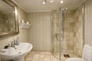 a bathroom with a shower and a sink and a toilet at Eggedal Borgerstue in Eggedal