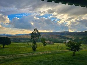a view of a field with a tree in the foreground at Clarossouw in Clarens