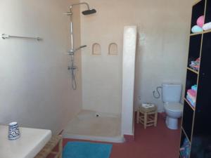 a bathroom with a shower and a toilet at Dar Mozart in Essaouira