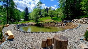a small pond in a park with logs around it at Cabana La Conac in Borşa