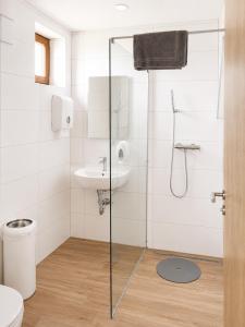 a bathroom with a shower and a sink at HOSTEL VANEČA in Puconci +6 photos