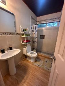 a bathroom with a toilet and a sink and a shower at California, Volcán, casa completa in Nueva California