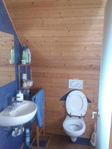 a bathroom with a white toilet and a sink at Holzhaus Rheingoldstraße 49a in Urbar