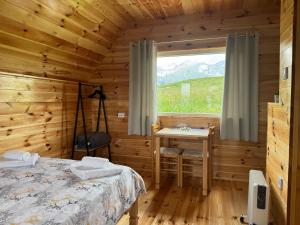 a bedroom with a bed and a desk and a window at Village Cottage in Žabljak