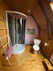 a bathroom with a shower and a toilet in a attic at La Ruche - Coquelicot in Mauriac +32 photos