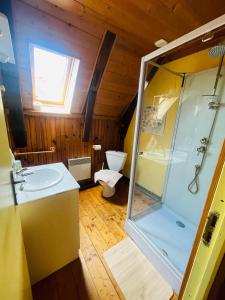 a bathroom with a shower and a sink and a toilet at Gîte La Ruche in Mauriac +24 photos