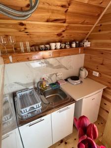 a small kitchen with a sink and a stove at Village Cottage in Žabljak +17 photos