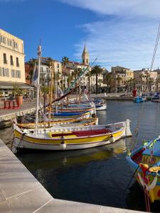 a group of boats are docked in a harbor at Apartment with a large tree-lined terrace in Sanary-sur-Mer