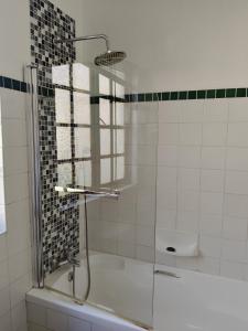 a bathroom with a shower with a tub and a toilet at The Museum Cottage in Sabie