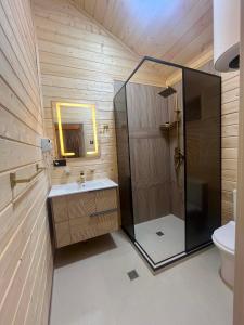 a bathroom with a shower and a sink and a toilet at Cottage Ametapi in Mestia