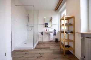 a bathroom with a shower and a sink at Apartment-Haus Gundelfinger in Gräfenberg +24 photos