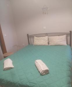 a green bed with two pillows on top of it at Evriaki Rooms Lesvos in Apidias Lakos