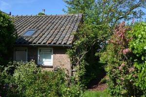 a brick house with a shingled roof at Cozy Cottage in Schoorl
