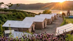 a row of tents in a field with the sunset at Taean Bibi ArtGlamping in Taean