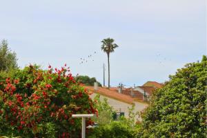a palm tree in the distance behind some trees at Villa Penim - Countryside Villa with Jacuzzi, Garden with BBQ & Stunning Views in Sesimbra +77 photos