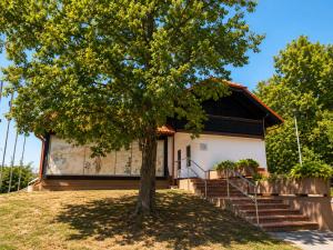 a house with a tree in front of it at HOSTEL VANEČA in Puconci