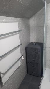 a bathroom with a shower with a radiator and a shelf at Garage Home in Yaremche +41 photos