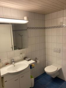 a bathroom with a sink and a toilet and a mirror at Attic Family Room Mountain & Lake View - 2nd floor in Vinelz