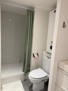 a bathroom with a white toilet and a shower at Douceur Suite - 2 bedrooms in Mâcon