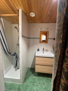 a bathroom with a sink and a shower at La Lobio in Molines-en-Queyras +85 photos