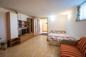 a room with a bed and a couch and a tv at Farm Stay Ana in Višnja Gora