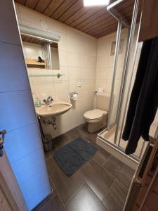 a bathroom with a toilet and a sink and a shower at Landhaus Aigner in Mittersill +30 photos