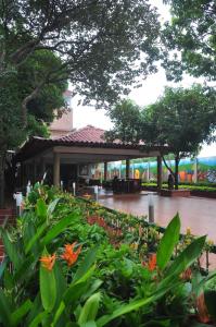 Zahrada ubytování Hotel El Bosque Valledupar