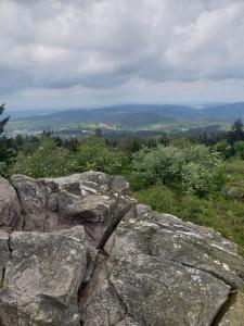a large rock sitting on top of a hill at Ferienwohnung Weitblick in Steinbach im Taunus