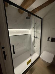 a glass shower in a bathroom with a toilet at Jaca Stone in Banaguás