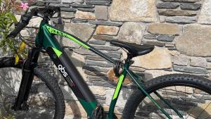 a green bike parked against a stone wall at Albergo Ristorante Monterosa in Ameno