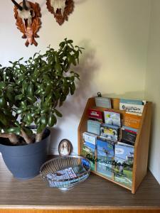a book shelf with a potted plant and a book box at Landhaus Aigner in Mittersill
