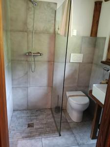 a bathroom with a shower and a toilet and a sink at borgo maira village in Prazzo +46 photos