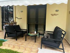 a cat sitting on a chair on a patio at Vicente Apartment in Skala Rachoniou