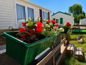 a green planter with red flowers on a deck at Casa Nature's Avlis Bungalow 4XZ in Pataias