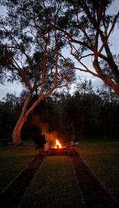 a person sitting around a campfire under a tree at MELLOW TREES Lake front studio with sauna in Budgewoi